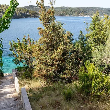 Cozy In With Wifi Vela Luka